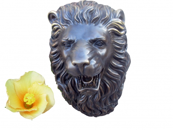 Creation of Lion Car-touche  with Hibiscus: Step 3